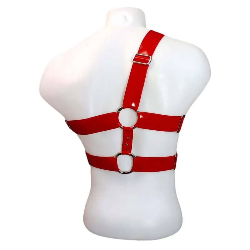 Harnais-Latex-Guys-Back
