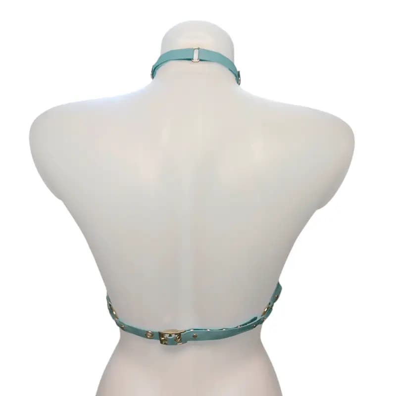 Harnais POCA Bleu Clair Back