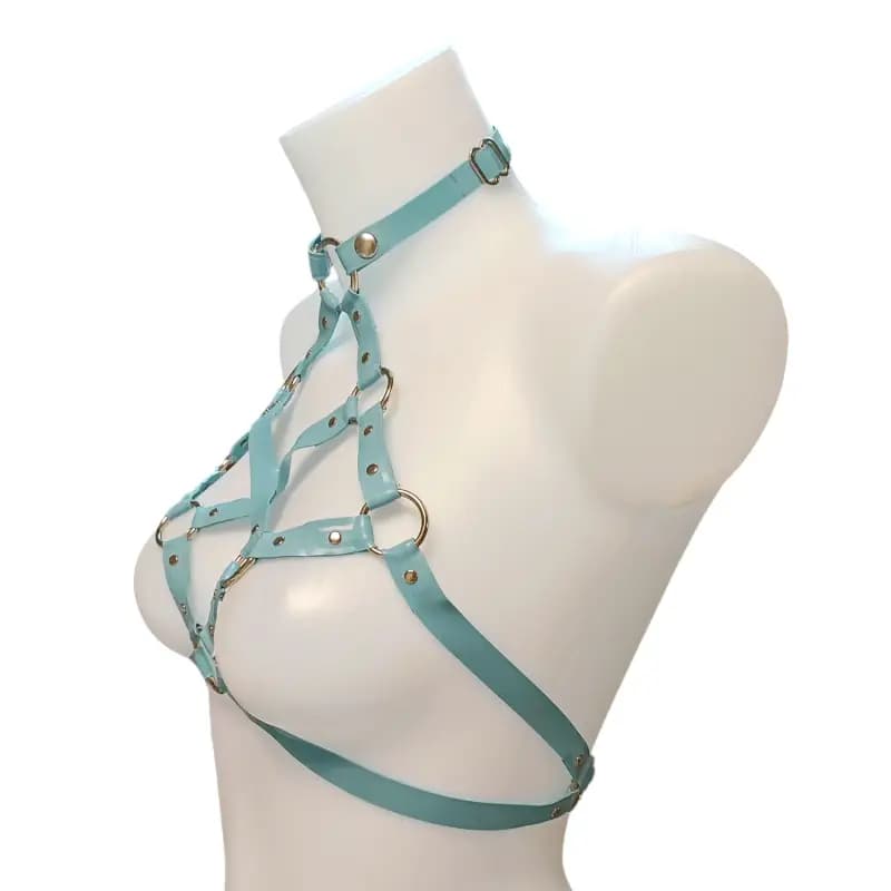 Harnais POCA Bleu Clair Side